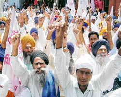 Farmers stage dharna near the deputy commissioners office in Amritsar on Tuesday.