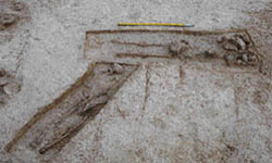 A view of the Harappan-era cemetery unearthed during excavation in Farmana village in Rohtak 