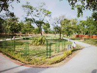 The park in Sector 29 that has no lights till 10 pm.