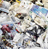 Heaps of bio-medical waste in Lajpat Nagar Park, Fatehabad, where three cows were found dead on Sunday.