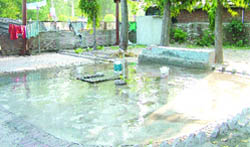 A view of the historic Thandi Khui near historic Company Bagh in Amritsar.