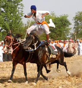 Nihangs display martial arts on the concluding day of the Baisakhi fair in Talwandi Sabo in Bathinda district on Tuesday.