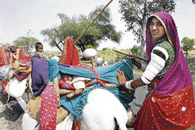 A group from Rajasthan moves in search of shelter on the Bhiwani road near Dobh village in Rohtak district on Tuesday. The heat in Rajasthan has forced many like them to leave their state.