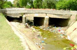 A view of the sub-canal in Abohar