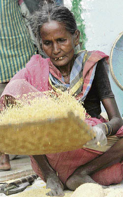 A woman cleans wheat for sale at a local market in Kolkata on Wednesday.