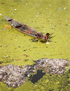 Rag-pickers collect scraps from the polluted Gomati in Lucknow