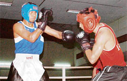 Boxers (57 kg weight) in action during a camp at the NIS in Patiala