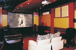 Aficionados prefer a movie screen with hi-tech projectors that are easy to handle