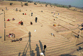 An excavation exercise undertaken in Madina and Farmana villages of Rohtak district recently