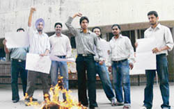 Students burn effigy of human resource development minister Arjun Singh at Panjab University in Chandigarh