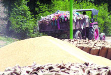 The dump yard is located right behind the grain market.