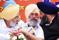 SAD chief Sukhbir Singh Badal is engrossed in discussions with Balwinder Singh Bhunder (centre) and Sikander Singh Maluka at Model Town Phase-I in Bathinda on Friday.