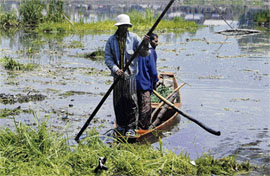 Government workers paddle through sludgy water during a dredging operation on a waterway feeding the Dal Lake in the Babdem area of Srinagar on Sunday. A massive dredging operation has been launched by the authorities to restore the blocked waterway which feeds the lake.