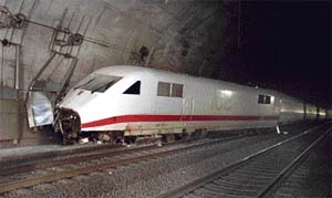 A German ICE high-speed train was derailed after hitting a flock of sheep near Fulda in central Germany on Saturday.