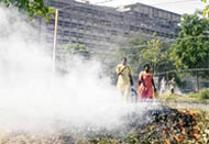Safai karamcharis burn leaves near Punjab and Haryana Secretariat