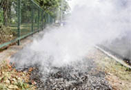 Safai karamcharis burn leaves near  Haryana Chief Ministers residence in Chandigarh