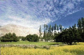 HAPPY COLOURS: Ladakh turns lush green in June