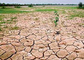 A view of the dried up bed of the Sukhna Lake