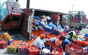 An overturned truck loaded with tomatoes on the Delhi-UP border at Seemapuri on Friday. 