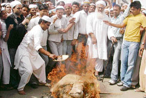 Activists of the All-India Majlis Ahrar Islam burn an effigy of the Jharkhand Chief Minister in Ludhiana on Friday.