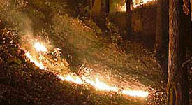 Forest fires rage in Tehri Garhwal district of Uttarakhand.