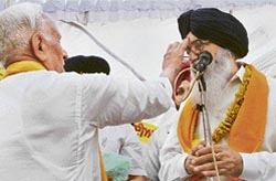 A priest applies tilak on the forehead of Chief Minister Parkash Singh Badal during his byelection campaign in Amritsar