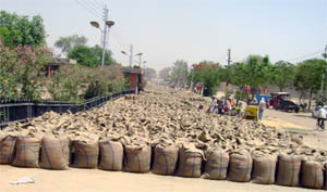 The road inside the Abohar grain market has been blocked due to wheat bags.