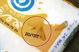 A dead insect in a sealed packet of Verka milk.