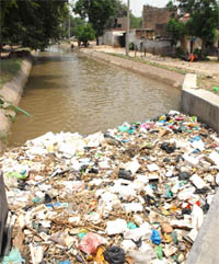 The canal tributary at Rampura has become a place for dumping filth.