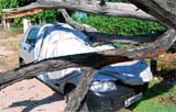 a car that was smashed by a tree at Phase VII in Mohali during the dust storm on Monday night.