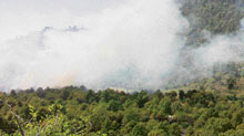Despite tall claims made by the HP forest minister, no concrete measures have been taken to tackle the fire problem in the region.