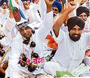 Farmers wear garlands of brinjals during a protest against genetically modified (GM) crops in New Delhi on Tuesday.