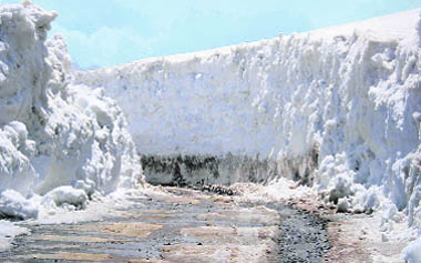 Its all white at the 13,050-foot-high Rohtang Pass, the gateway to picturesque Lahaul and Spiti district, which has been thrown open to tourists. 