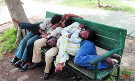 These youngsters seem to be enjoying their siesta in a Jalandhar park.