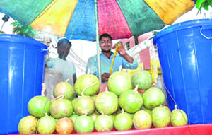 A vendor prepares a delicious sharbat of bil in Karnal on Monday.
