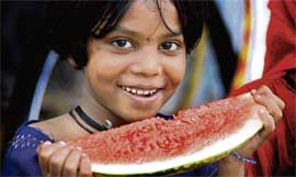 A little girl enjoys a slice of a juicy watermelon on a hot and sultry day in Jammu on Thursday. 