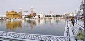 The plants that adorned the Harmandar Sahib parkarma as part of Go-green campaign of the shrine have been removed after two years.