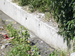 A view of the blocked sewerage on Dharamsala bypass, which is a major health hazard for residents in the surrounding areas.