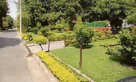 Gardens on the municipal corporation land outside VIP houses in Sector 7, Chandigarh, on Saturday.