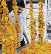 Vijay, a young entrepreneur, takes advantage of the bypoll season to sell flowers and garlands. 