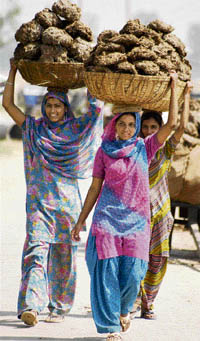 These village women living on the outskirts of Jammu still depend on cow-dung for domestic chores.