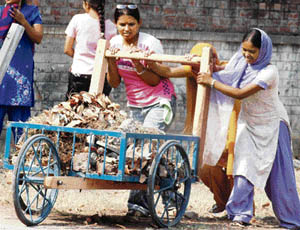 NSS volunteers of the Government College for women clean the college premises in Ludhiana on Sunday.