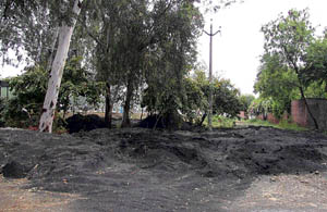 A heap of fly ash along the stretch of the GT Road in Ludhiana. 