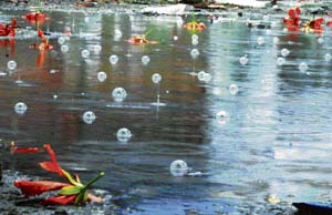 The temperature in Karnal dropped after showers on Monday morning.