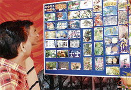 Visitors at an exhibition on  International Day for Biological Diversity in Shimla on Thursday. 