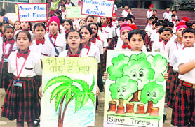 Students of Spring Dale Public School at a rally organised to celebrate biodiversity day in Ludhiana on Friday.
