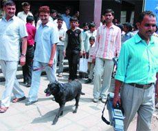 The bomb disposal squad with a sniffer dog at the Chowri Bazaar Metro Station after a hoax bomb call in New Delhi on Saturday. 
