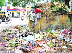 An overflowing garbage container in the Model Town area of Rohtak on Saturday.