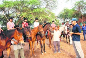 Budding polo players ready to take lessons at Lake Club in Chandigarh on Sunday. 