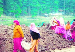 Women employed under the National Rural Employment Guarantee Scheme busy in de-silting Dal Lake at Tota Rani village, 11 km from Dharamsala